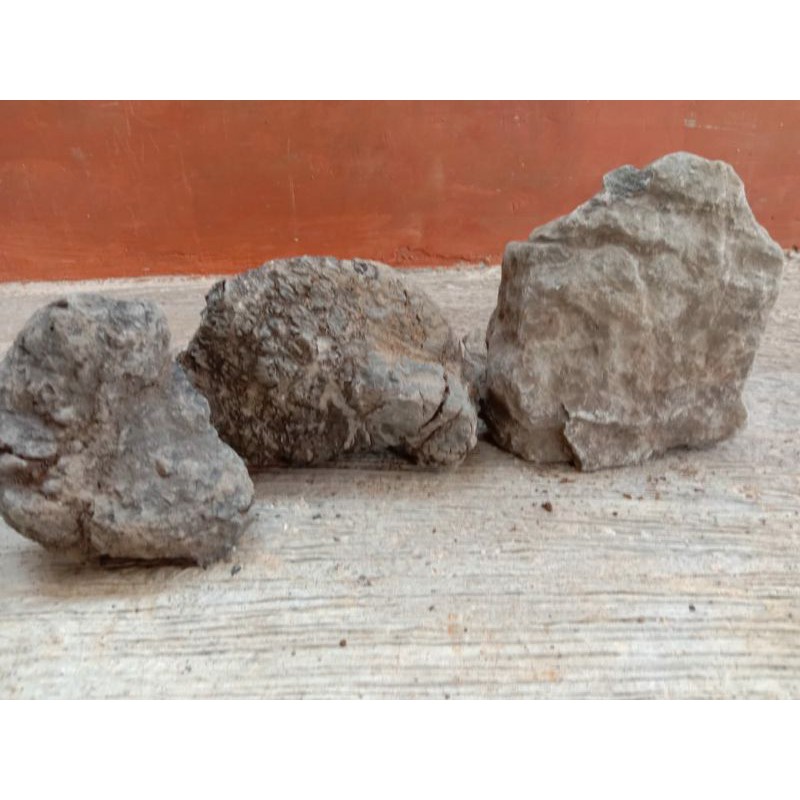 Jual Batu Turli Turly Turley Hiasan Aquarium Aquascape Terrarium dan ...