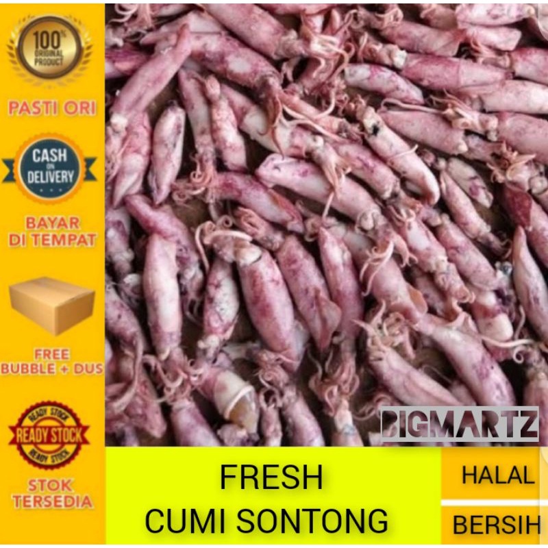 Jual Cumi Sontong Super Cumi Sontong Telur Cumi Sontong Rebus Ikan