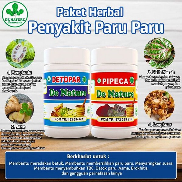 Jual Obat Detox Paru Paru Basah Bocor Flek Tbc Asma Bronkitis Batuk Menahun Detopar Pipeca 2747