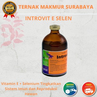 Jual INTROVIT E SELEN 100 Ml - Vitamin E + Selenium Tingkatkan Sistem ...