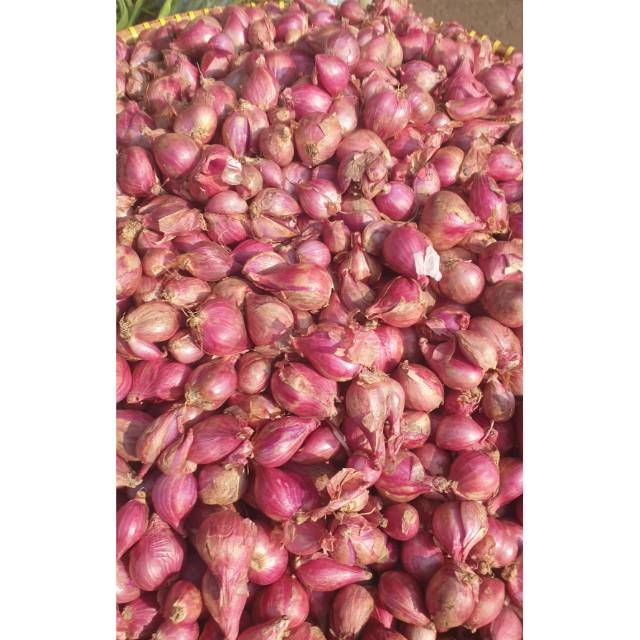 Jual Bawang Merah Super 1kg 1kg Shopee Indonesia