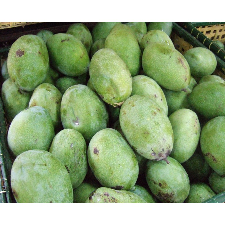 Jual Mangga Manalagi Madu Kg Shopee Indonesia