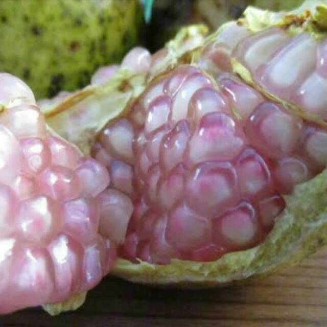 Jual Buah delima putih organik fresh | Shopee Indonesia