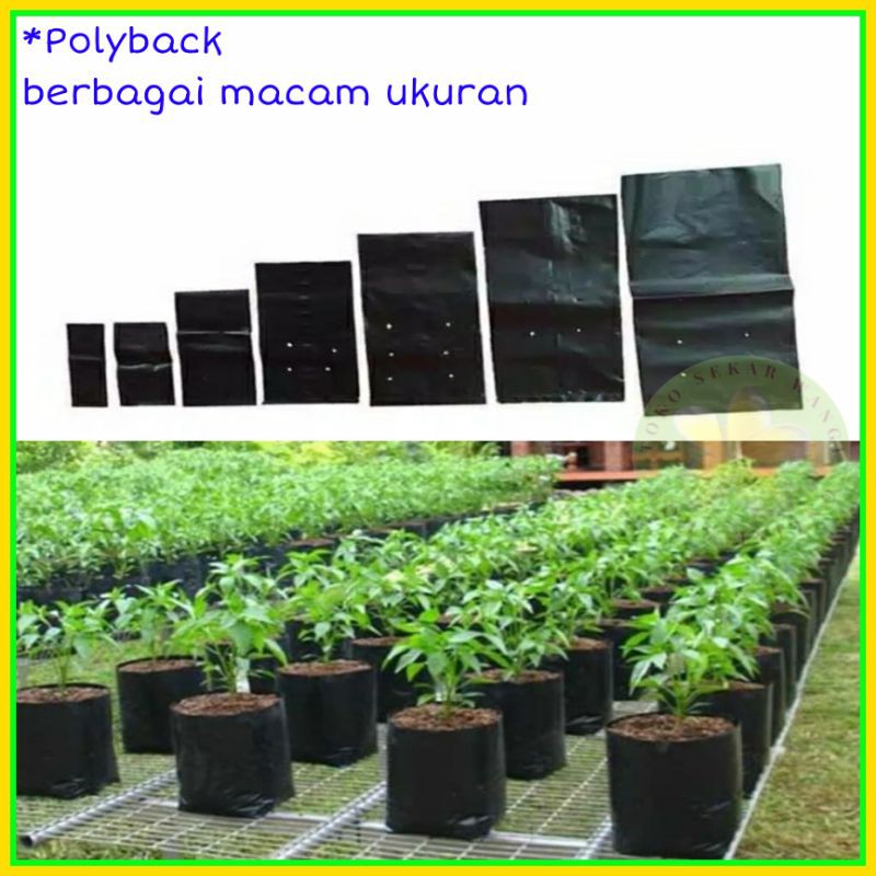 Jual polybac / polyback / polybag / polybeg murah / berbagai macam ...