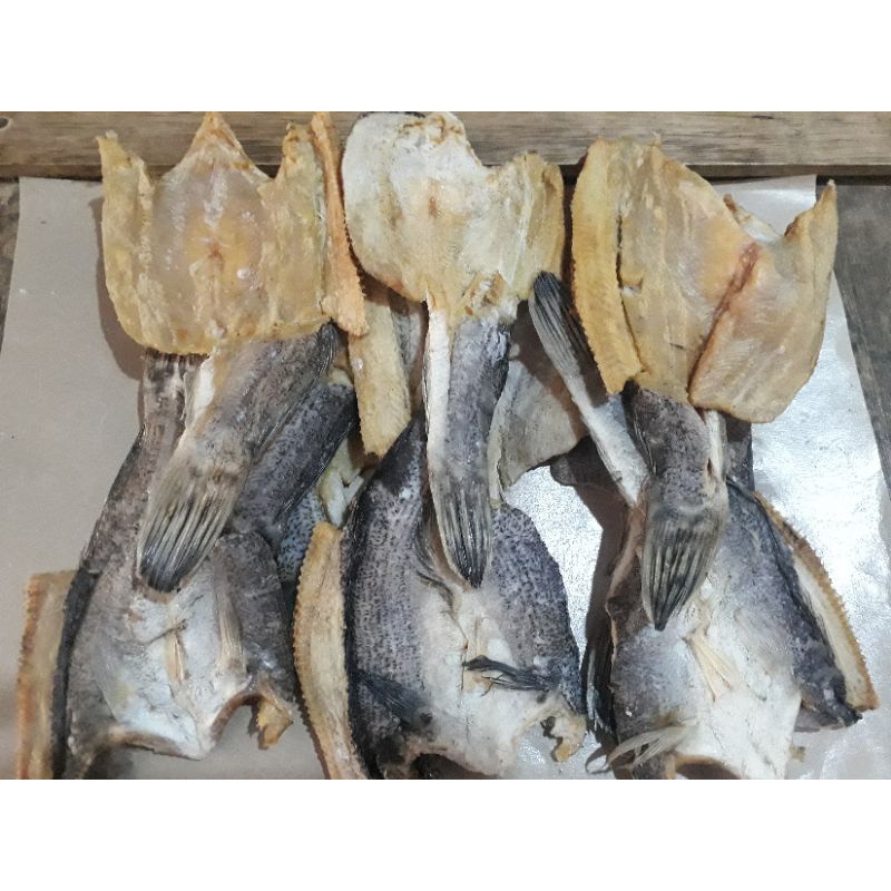 Jual Ikan Asin Gabus Rawa Asli 100% | Shopee Indonesia