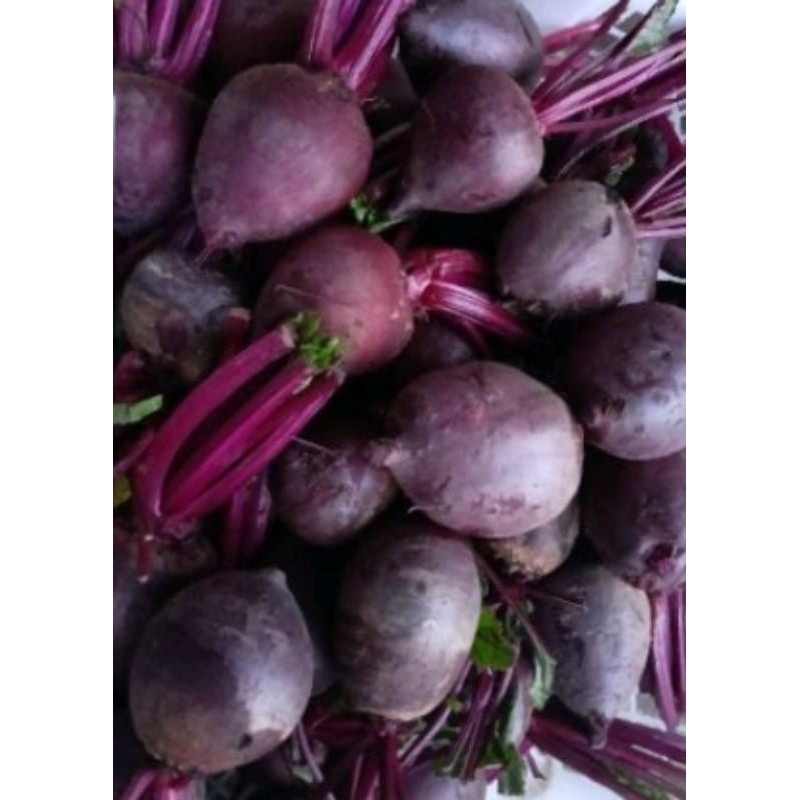 Jual Beetroot Buah Bit Fresh 1kg Shopee Indonesia