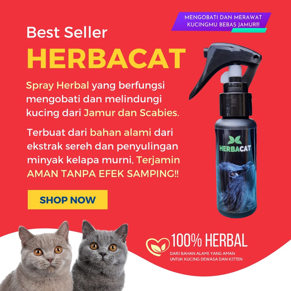 Jual Obat Jamur Kucing & Scabies Spray Ampuh 100 Aman Tanpa Efek