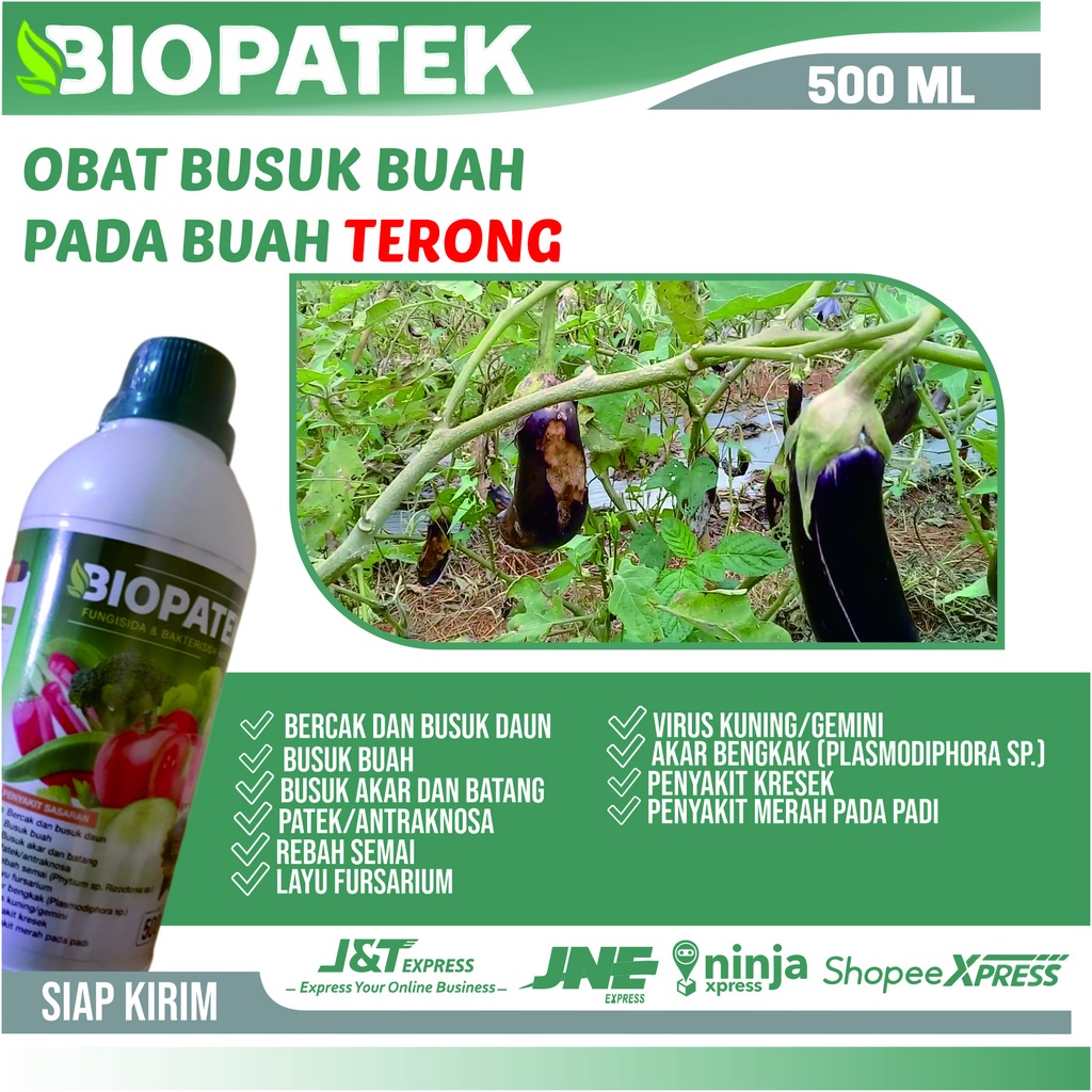 Jual Obat Anti Busuk Buah Pada Tanaman Terong - Biopatek 500 ML ...