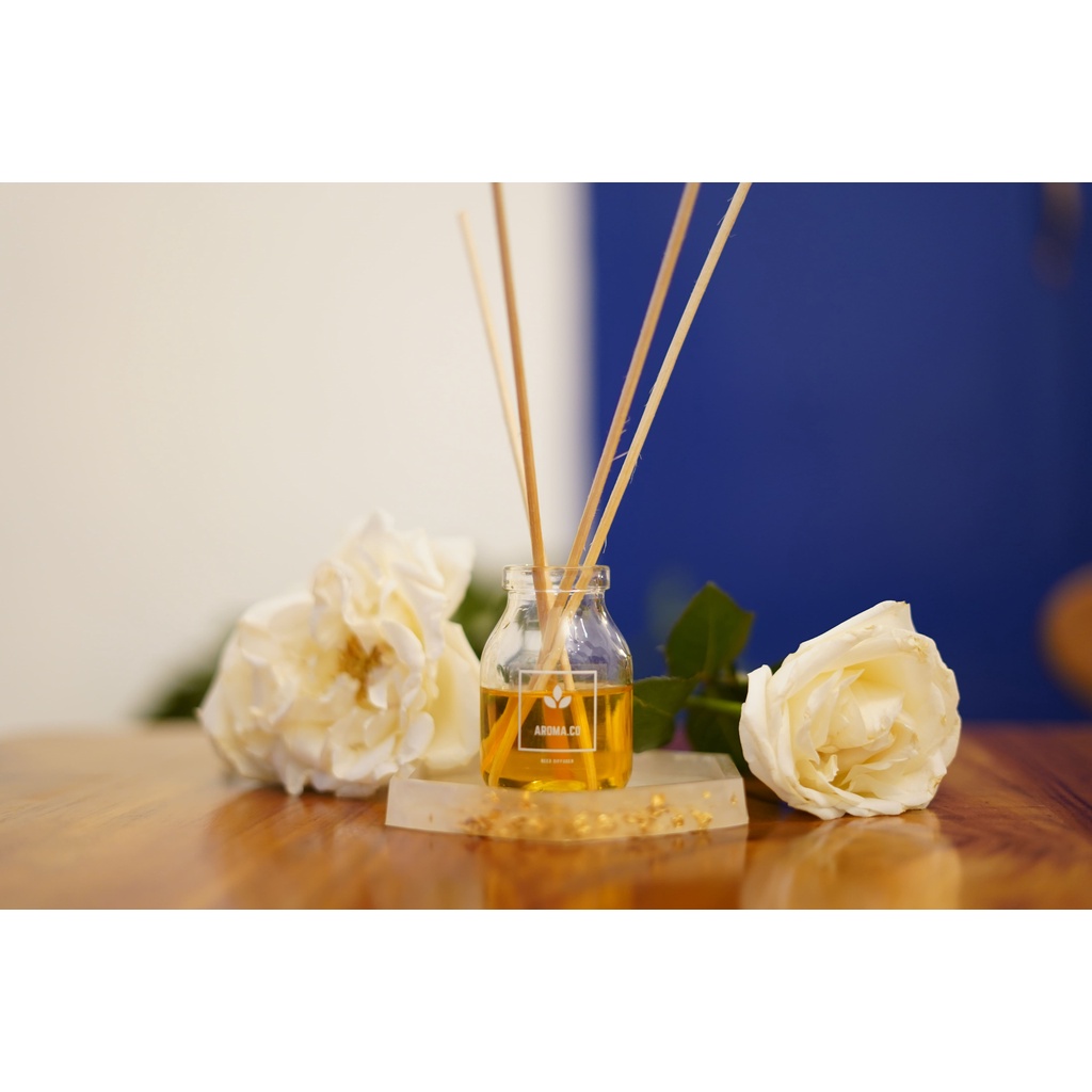 Jual Hampers Reed Diffuser 30 ml | Shopee Indonesia