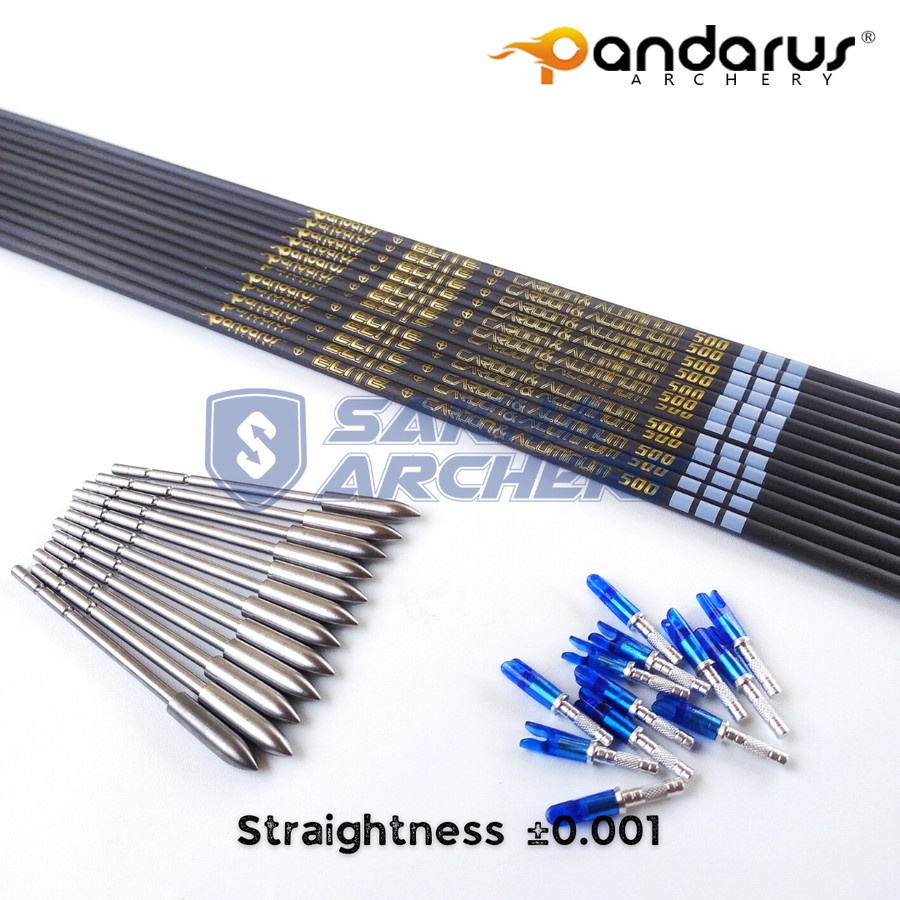 12 Aste Per Frecce Tiro Con L'Arco Pandarus ELITE – Carbonio/Alluminio, ID 3.2mm, Logo Oro – X10