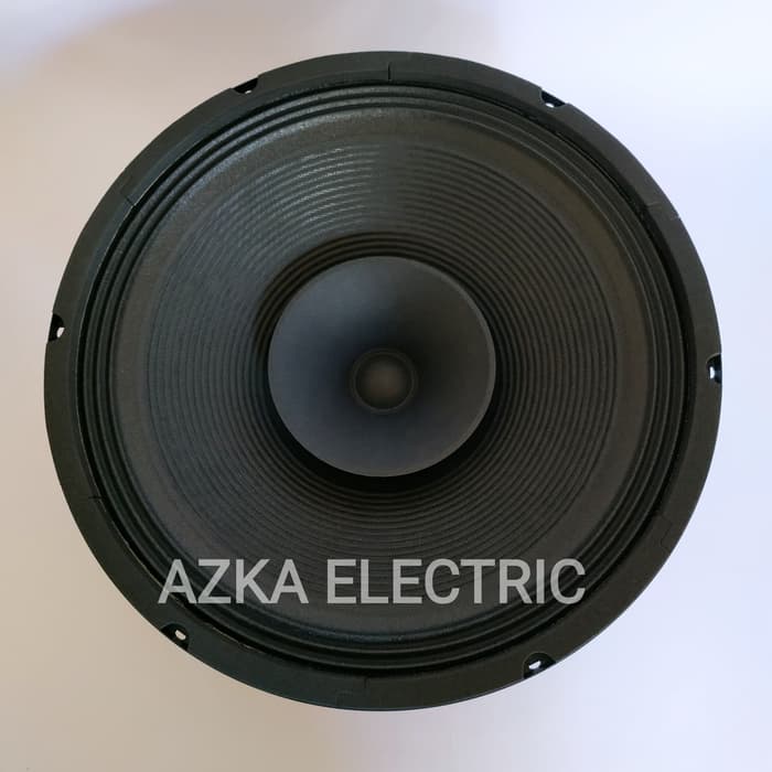 Speaker full best sale range 12 inch