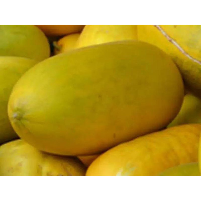 Jual Timun Buah Terlengkap & Harga Terbaru Juli 2026 | Shopee Indonesia
