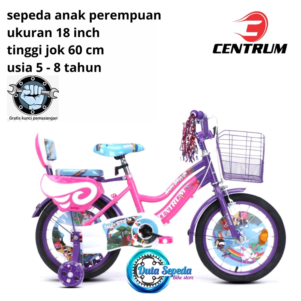 Jual sepeda anak perempuan 18 inch usia 5, 6, sampai 8 tahun | Shopee