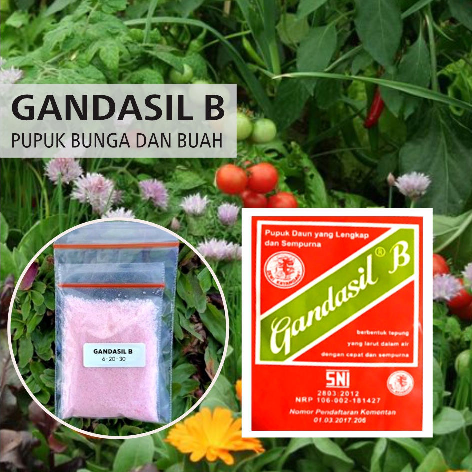 Jual 10gr - GANDASIL B, Pupuk Bunga Dan Buah, Pemacu Pembungaan Dan ...