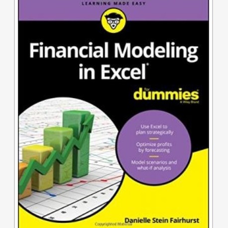 Jual Buku Financial Modeling In Excel For Dummies | Shopee Indonesia