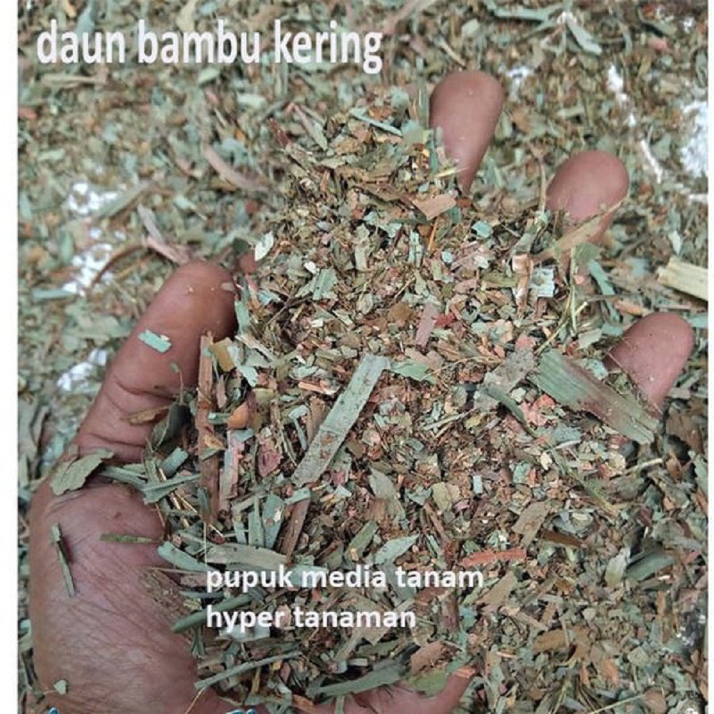 Jual Media Tanam Daun Bambu Kering Cacah / Pupuk Tanaman Daun Bambu ...