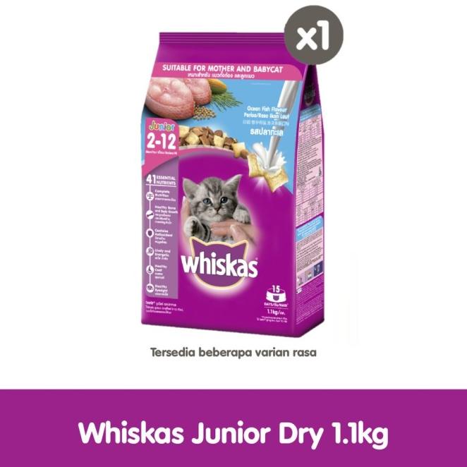 Jual WHISKAS MAKANAN KUCING KERING JUNIOR 1.1KG Shopee Indonesia