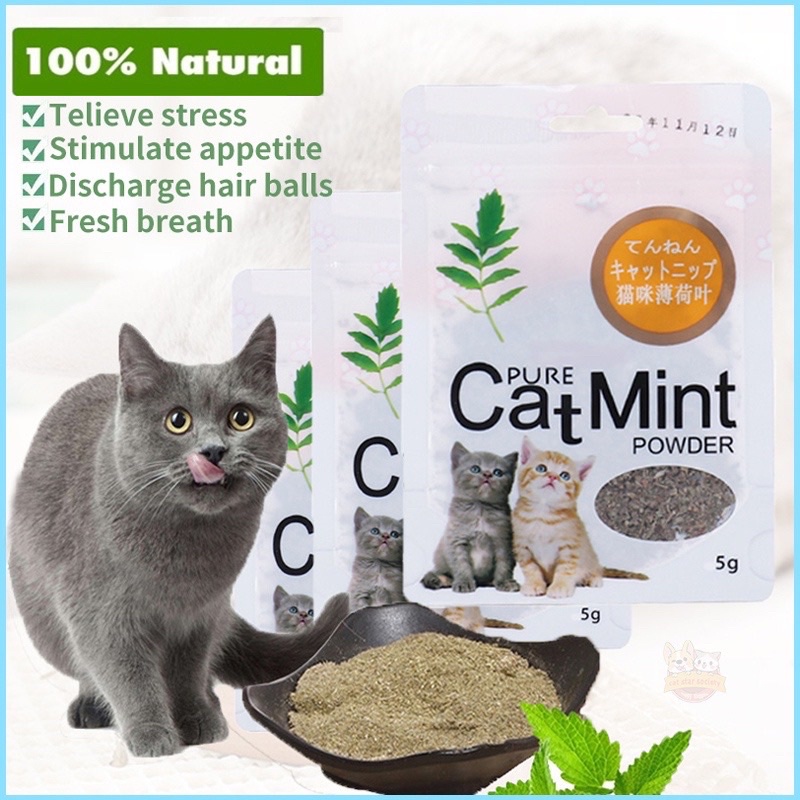 Jual Catnip catmint cat mint PURE CATMINT POWDER BIKIN FLY KUCING sugar ...