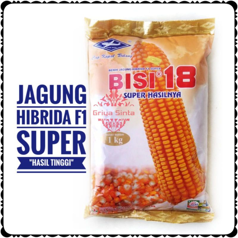 Jual Griyasinta Benih Bibit Jagung Super Hibrida Bisi 18 Terlaris