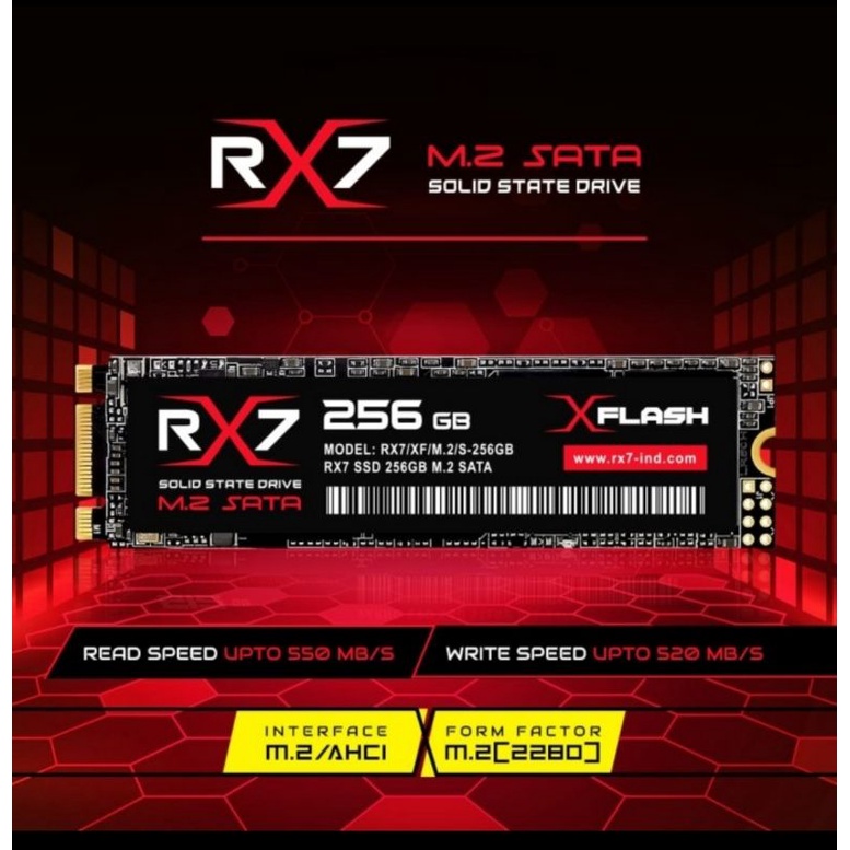 Jual Ssd M2 256 gb rx7 garansi resmi 3 Tahun | Shopee Indonesia