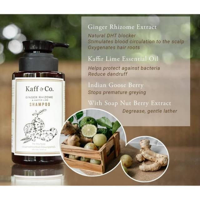 Jual KaffnCoIdn Ginger Rhizome Shampoo 300ml Rambut Rontok Uban dan ...