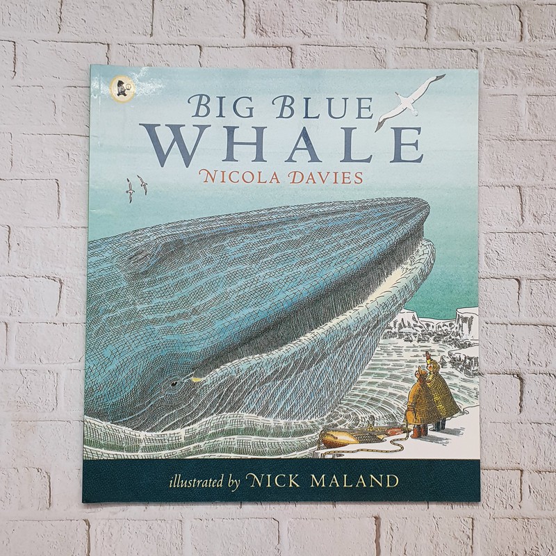 Jual Big Blue Whale - Nicola Davies | Shopee Indonesia