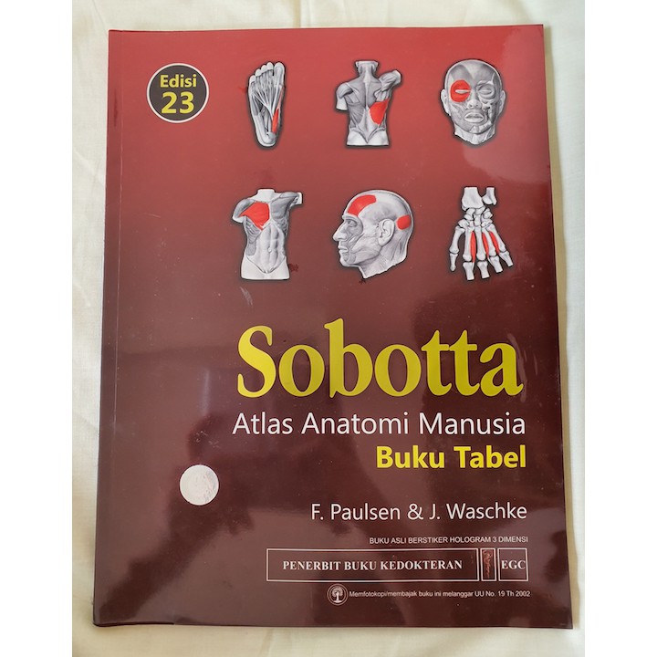 Jual Buku Sobotta Atlas Anatomi Manusia Tabel Eds Asli Shopee