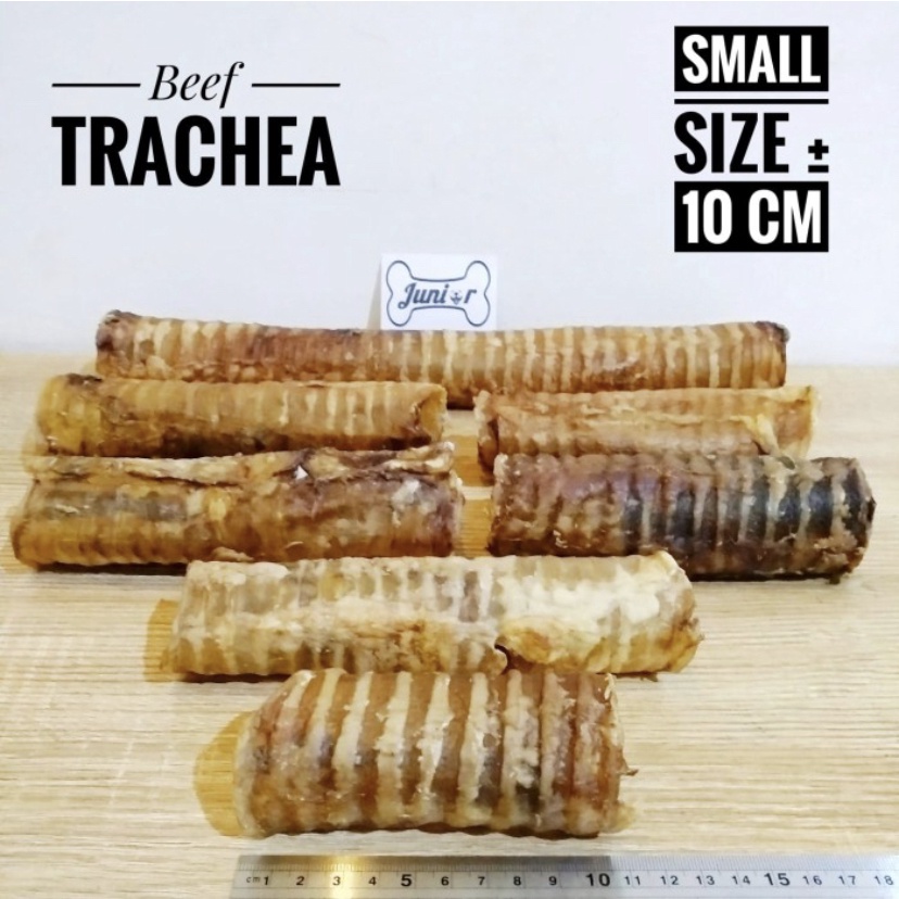 Jual Beef Trachea Dog Snack / Snack Makanan Anjing / Trakea Sapi ...