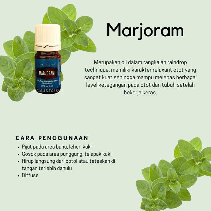 Marjoram young deals living