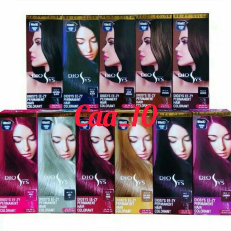 Jual DIOSYS EE-ZY PERMANENT HAIR COLORANT 100ML/Pewarna Rambut 100mlx2 ...