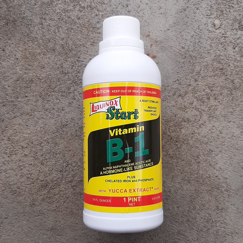 Jual Pupuk Cair Liquinox Start Vitamin B1 470ml | Shopee Indonesia