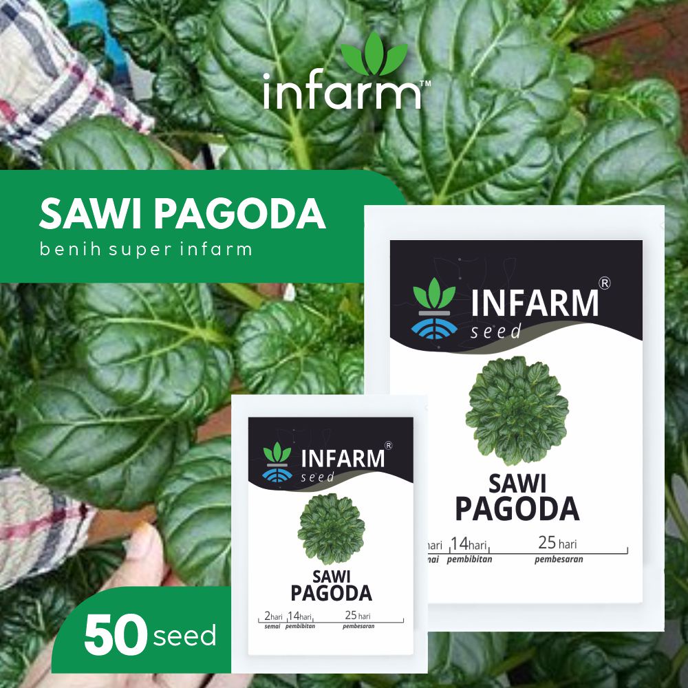 Jual Infarm Benih Bibit Biji Super Sawi Pagoda Ta Ke Chai Shopee