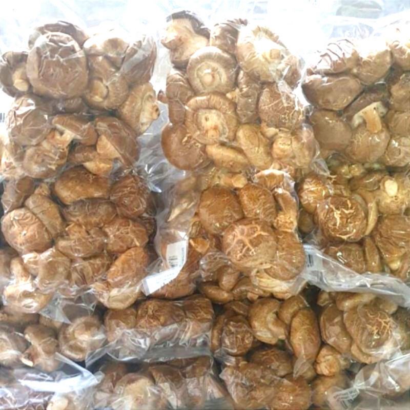 Jual Jamur Shitake 200g Kemasan Vacuum/Jamur Shitake Fresh 200g/Shitake Mushroom 200g Shopee
