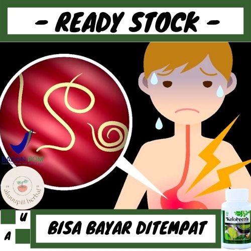 Jual Obat Cacingan Di Tubuh, Obat Untuk cacingan Di Tubuh, Obat Cacing ...