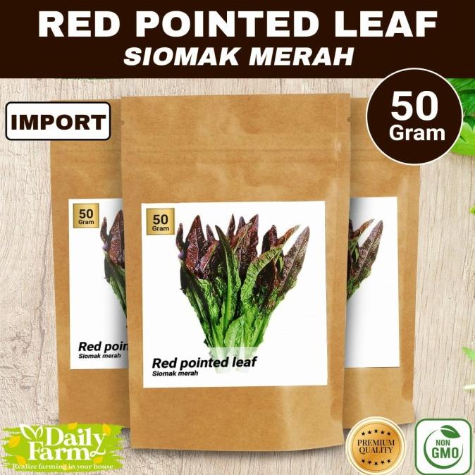 Jual Benih Sayur Red Pointed Leaf Siomak Merah Import Grm