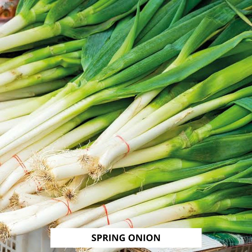 Jual Daun Bawang 200gr Spring Onion | Shopee Indonesia
