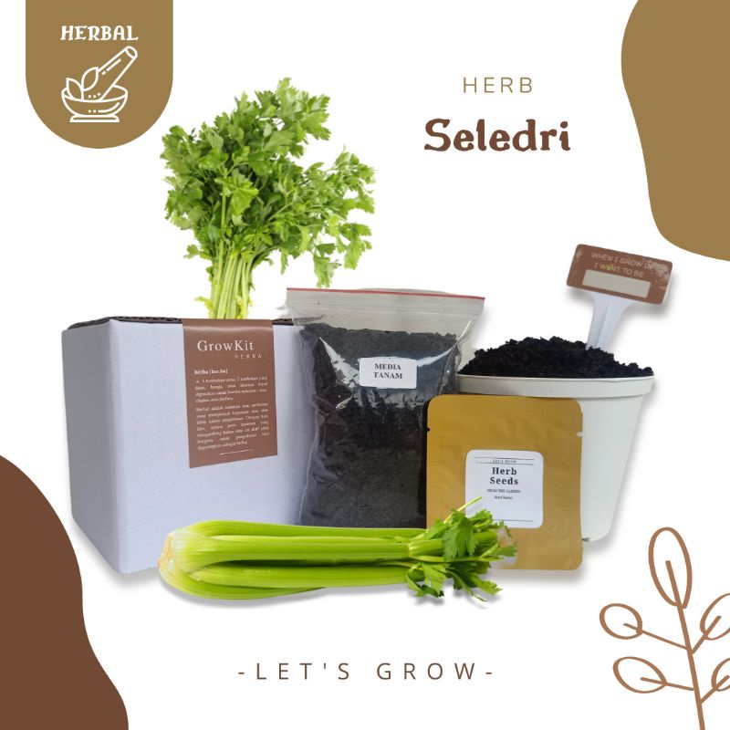 Jual Seledri Grow Kit Herb Planter Kit Paket Berkebun | Shopee Indonesia