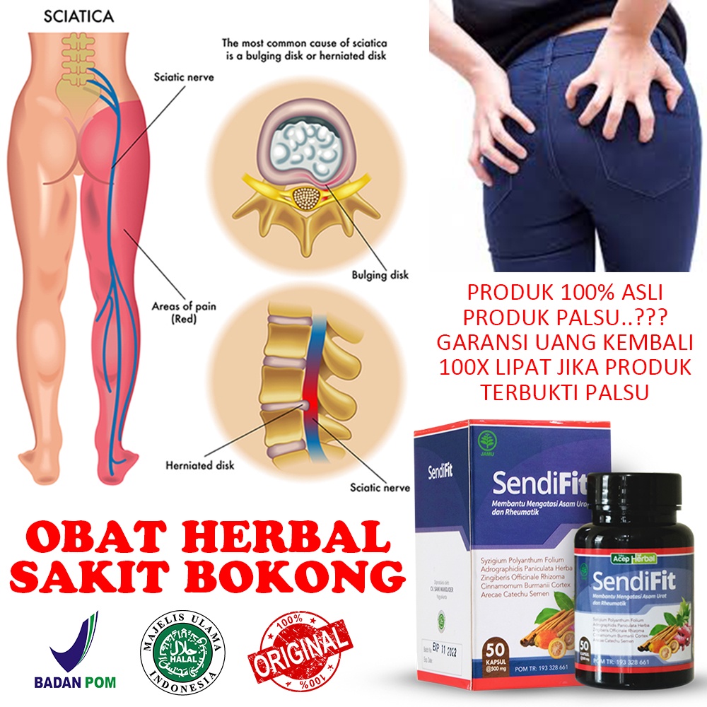 Jual Obat Sakit Pantat Sakit Bokong Sampai Kaki Urat Kejepit Rematik