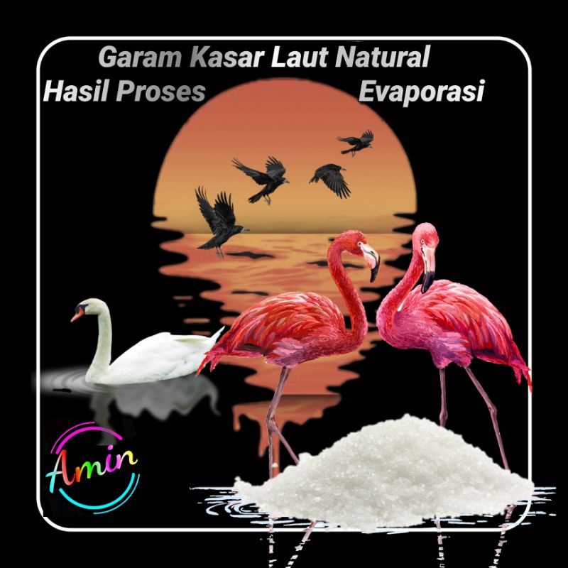 Jual Garam Laut Kasar Kg Natural Seasalt Murni Melalui Proses Evaporasi Air Laut Shopee