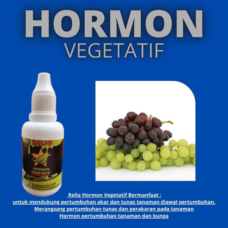 Jual Hormon Tanaman Anggur Hormon Penumbuh Akar Tanaman Shopee Indonesia