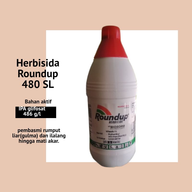 Jual Herbisida Roundup 486 Sl 1 Liter Bahan Aktif Glifosat Memberantas