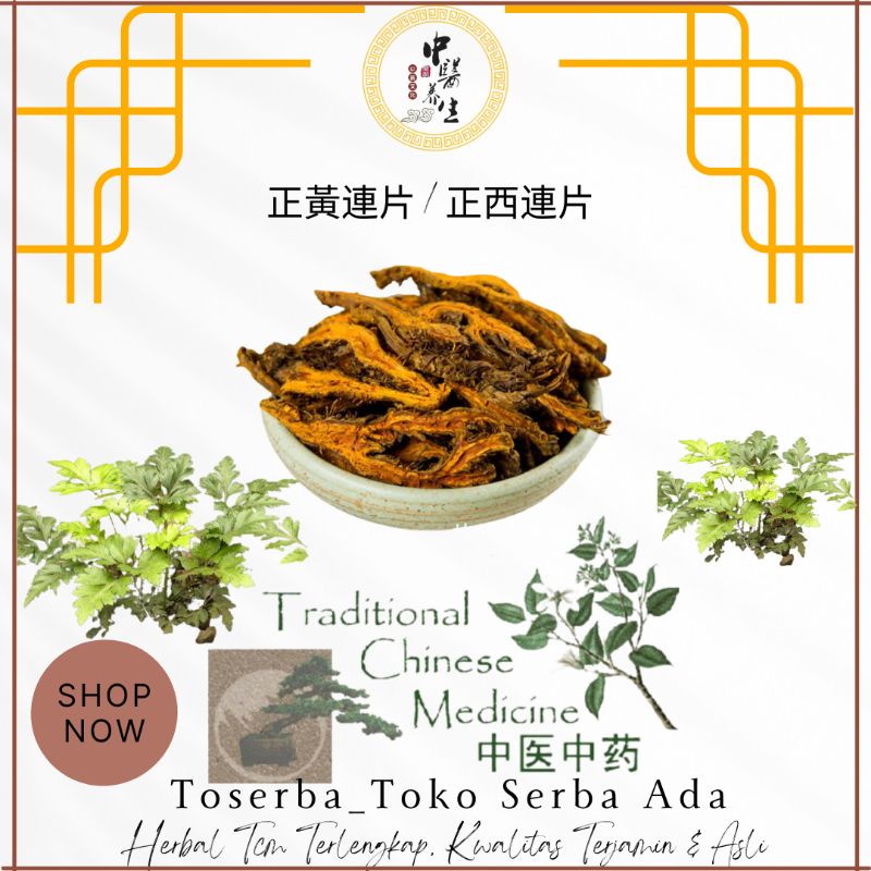 Jual 50gr Herbal Zheng Huang Lian Asli Produk 正黃連 正西連 Coptis Root ...