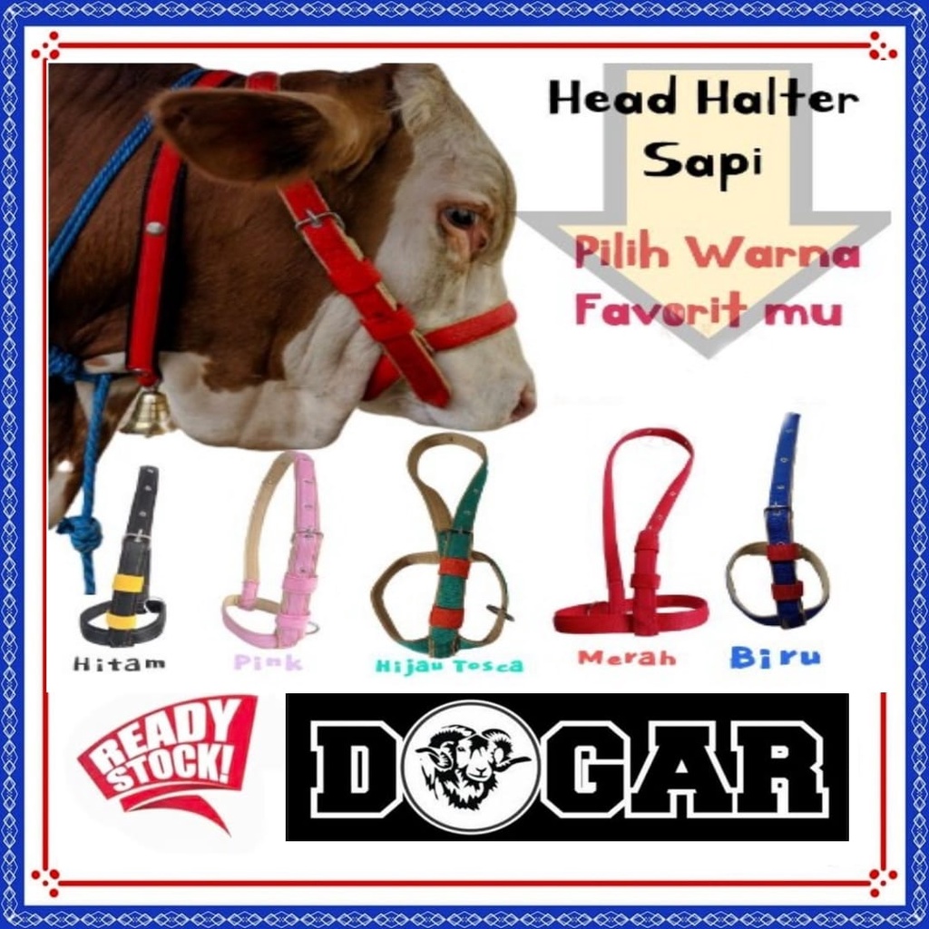 Jual HEAD HALTER SAPI - TERSEDIA UKURA S,M,L,XL | Shopee Indonesia