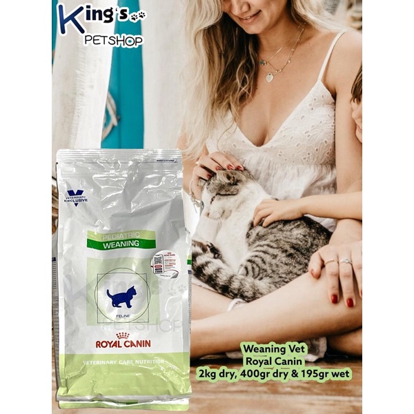 Pediatric weaning hotsell feline royal canin