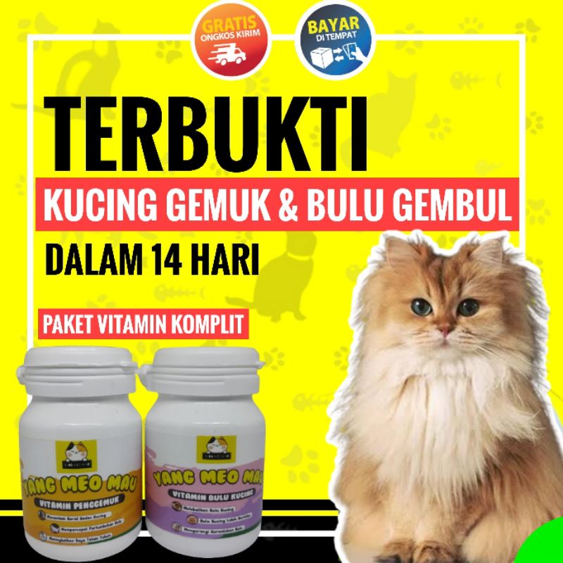 Jual Vitamin Kucing Nafsu Makan & Vitamin Bulu Lebat Dan Sehat | Shopee ...