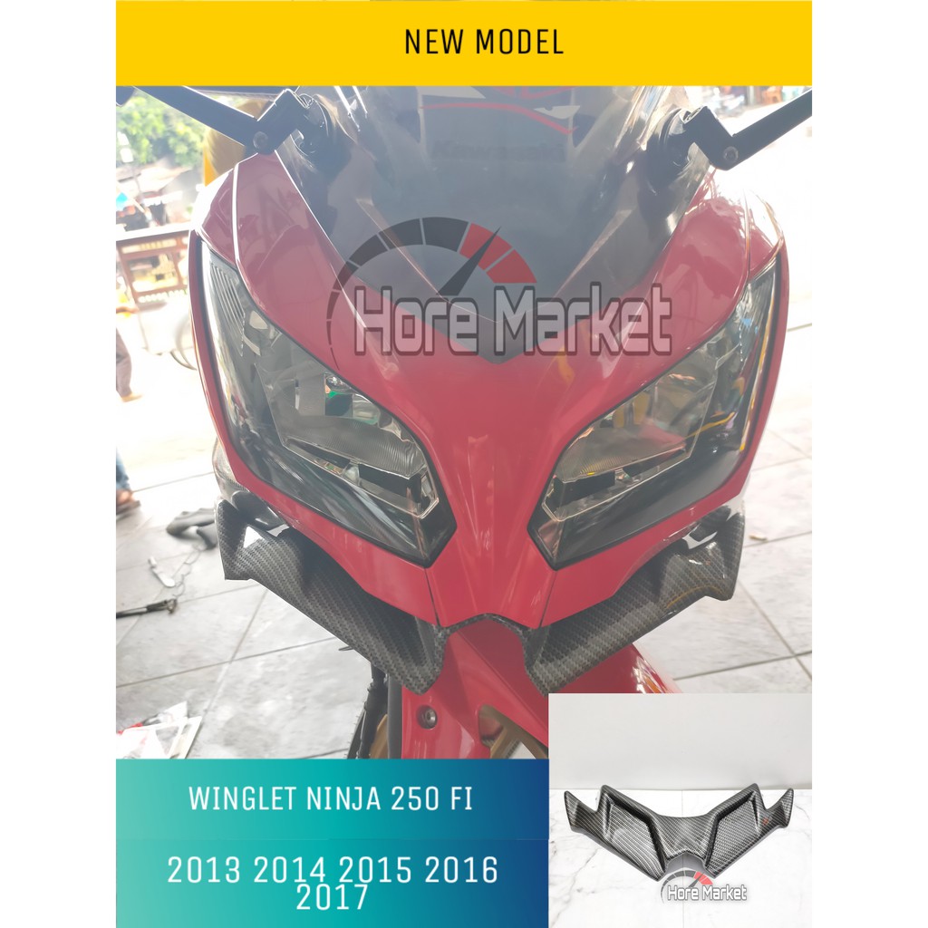 winglet ninja 250 sl