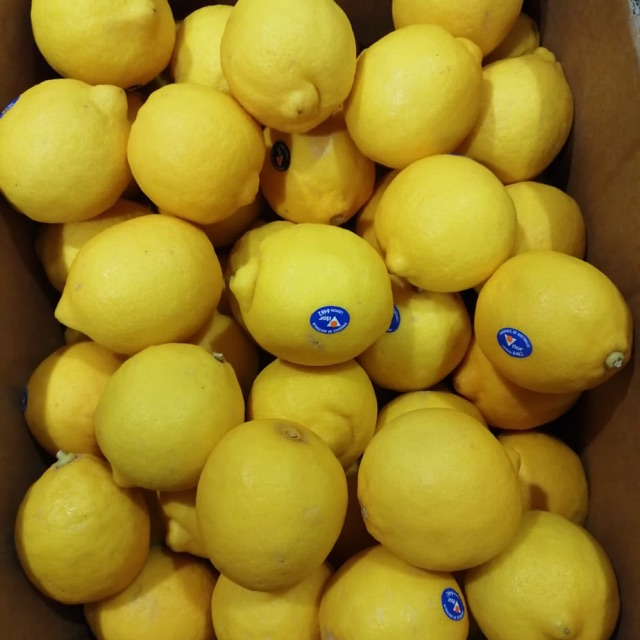 Jual Lemon Impor Import 1 Dus | Shopee Indonesia