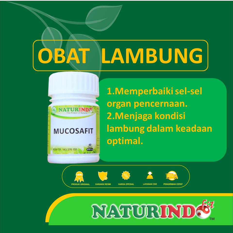 Jual Obat Lambung Herbal Maag kronis asam lambung menaun 100% BPOM Gerd ...