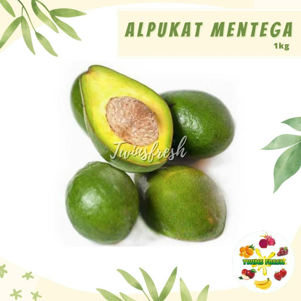 Jual Alpukat Mentega Lampung 1 Kg | Shopee Indonesia