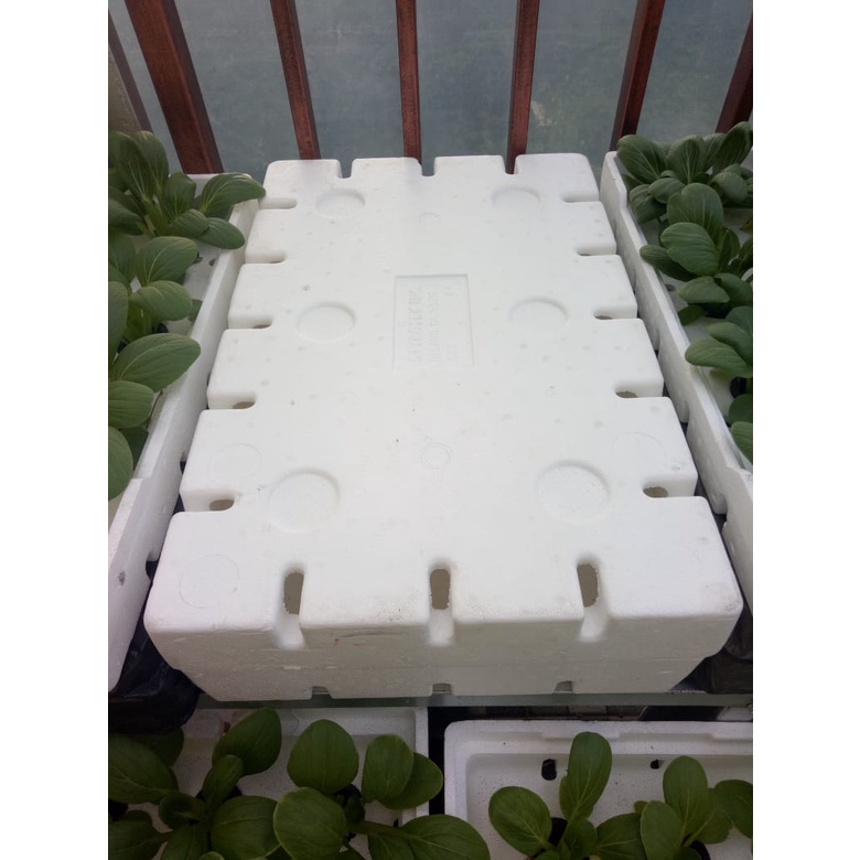 Jual Sterofoam Box Anggur Media Tanam Hidroponik Tanpa Alas Shopee